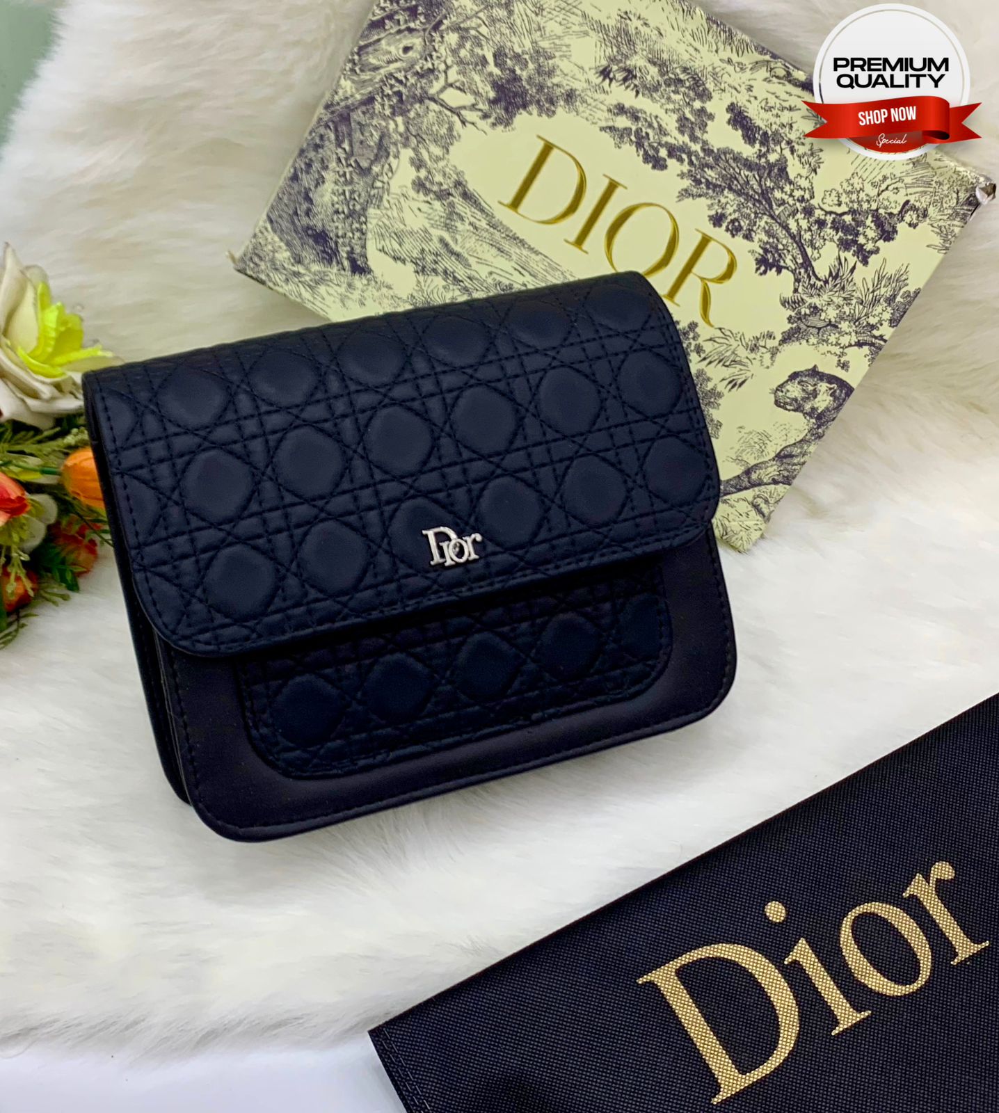 Dior Cross Body Style Bag