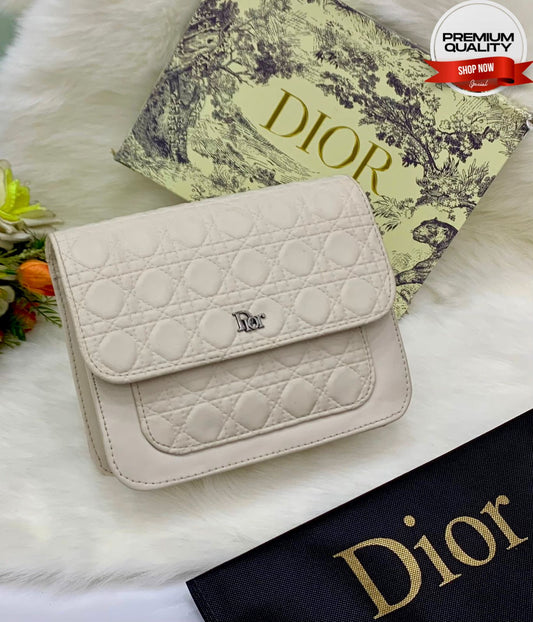 Dior Cross Body Style Bag